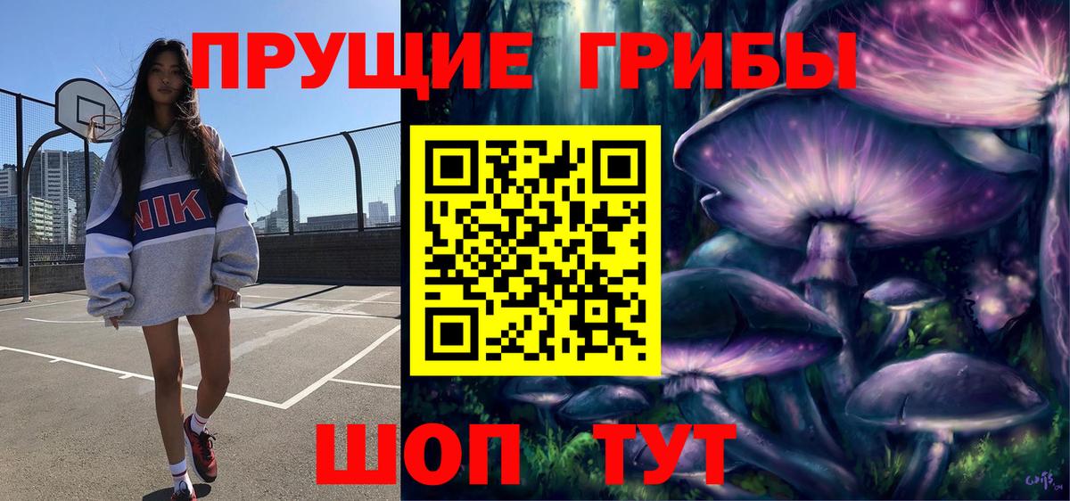 Псилоцибиновые грибы GOLDEN TEACHER  Вход с VPN  Зеленогорск  наркотики  Галлюциногенные грибы Psilocybine cubensis 