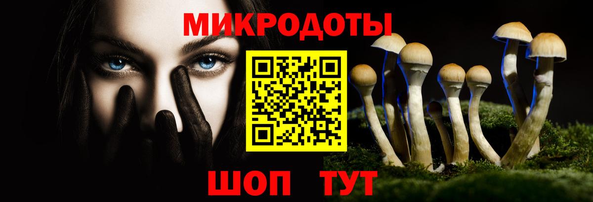Галлюциногенные грибы MAGIC MUSHROOMS Зеленогорск